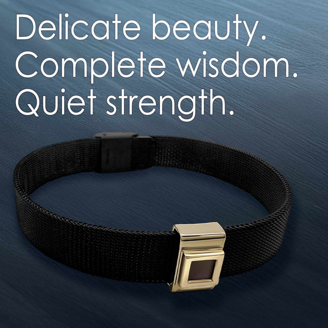 Mens Knox bracelet featuring complete Bible in microscopic form