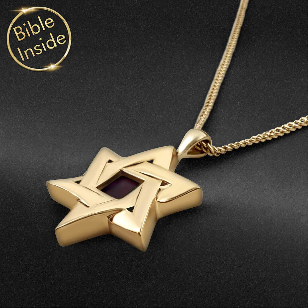 Star Of David Mens Necklace With The Entire Bible - My Nano Bible Jewelry